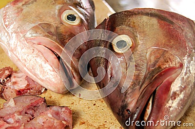 Fish heads