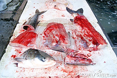 Fish heads and fish meat