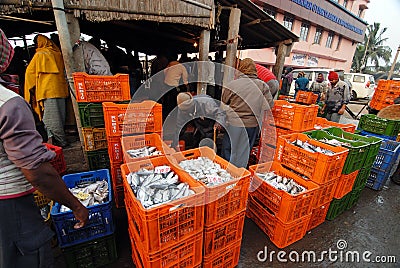 Fish Market in India