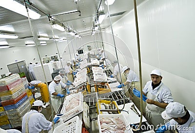 Fish processing factory