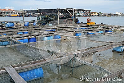 Fish Rearing Farm