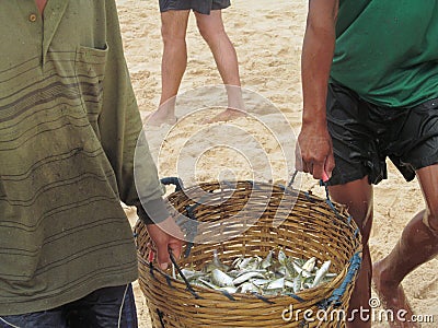 Fish sea ocean Vietnam Asia fishing catch