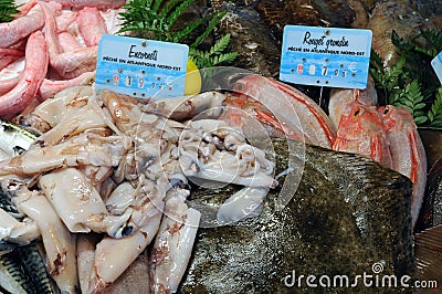 Fish shop in the city of Honfleur