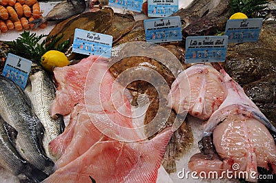 Fish shop in the city of Honfleur