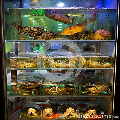 Fish Tank Hong Kong Restaurant