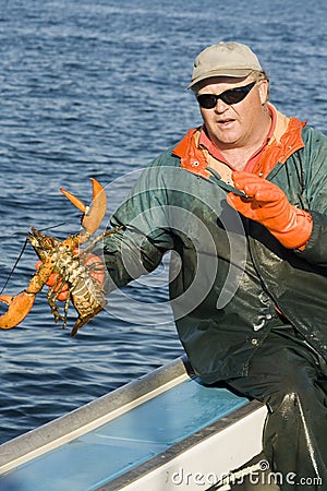 Fisherman and a live lobster