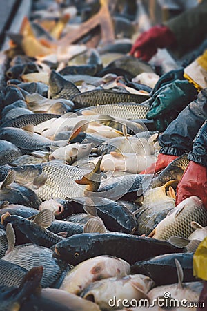 Fisherman at work/fishing industry