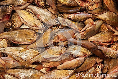 Fishes in a basket