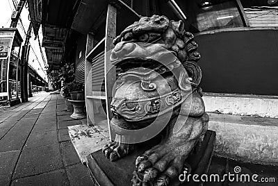 Fisheye view of Fu lion/dog or Chinese guardian