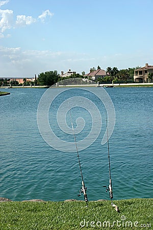 Fishing poles by water