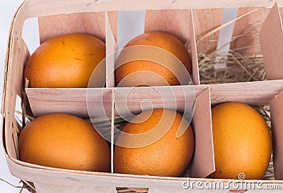Five eggs in a carton box