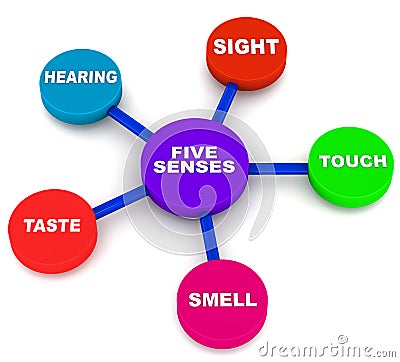 Five human senses
