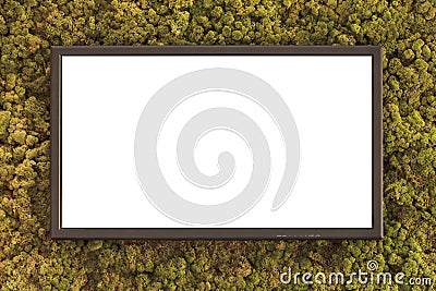 Flat television on a green moss covered background