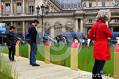 Flax in the city