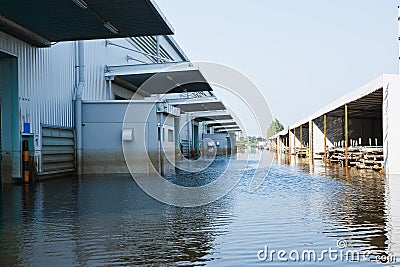 Flood factory in Nava Nakorn Industrial thailand