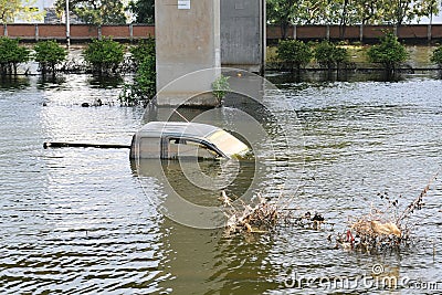 Flooded Car