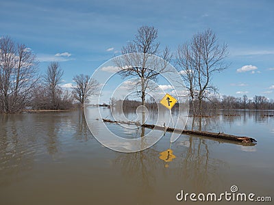 Flooded roadway