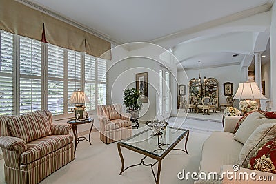 Florida luxury home living room