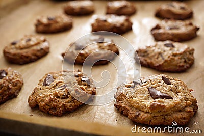 Flourless Peanut Butter Chocolate Chip Cookies On Baking Sheet