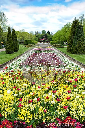 Flower alley in the park