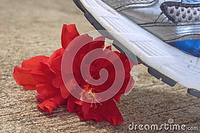 Flower being step on