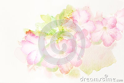desert flower essay desert flower essay