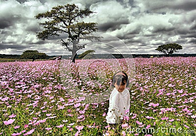 Flower field