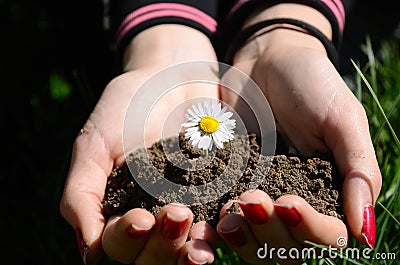 Flower in hand with earth