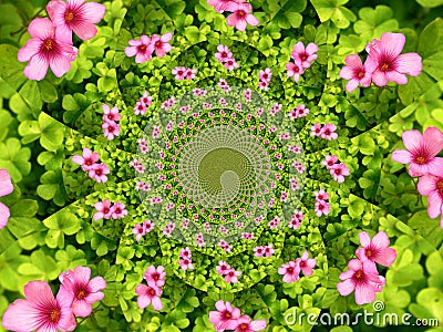 Flower kaleidoscope