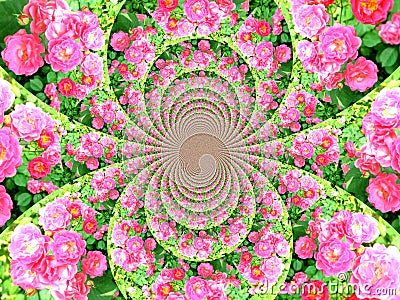 Flower kaleidoscope