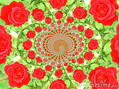 Flower kaleidoscope