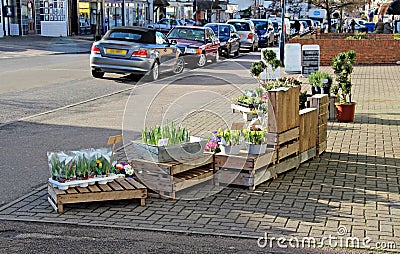 Flower seller shop display