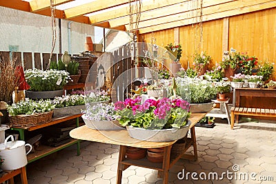 Flower Shop Interior