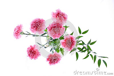 Flower Vase Stock Image - Image: 7478351