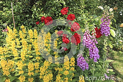 Flowers in an English Country Garden