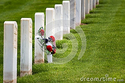Flowers in a military graveyard