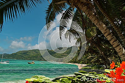 Flowers, palm-trees on paradise lagoon beach
