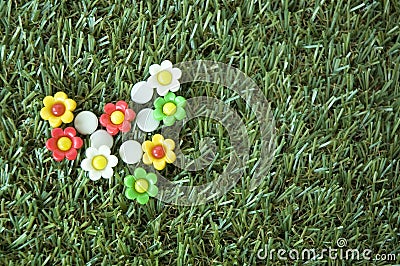 Flowers pins on grass