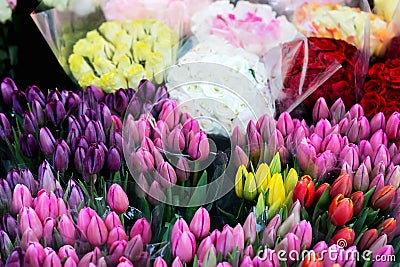 Flowers for sale at the florist