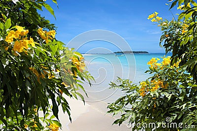 Flowers on sandy beach with tropical island in background