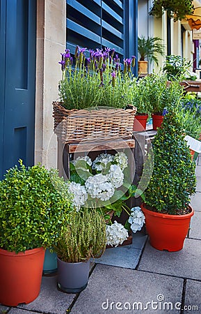 Flowers street shop