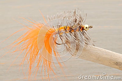 Fly Fishing Lure