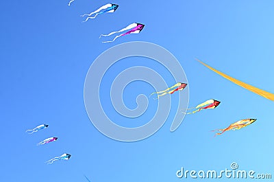 Flying kites in a blue sky