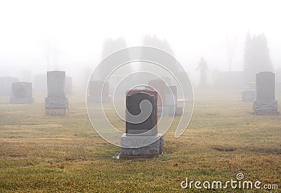 Foggy cemetery