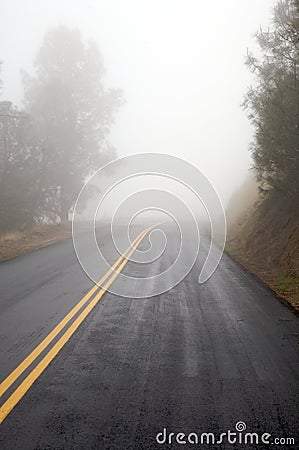 Foggy Road