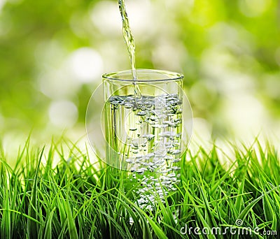 Glass of water on nature background