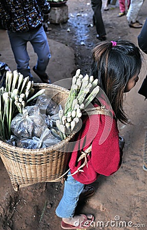 Food Market Asia girl of Cambodia