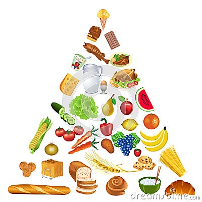 Food pyramid