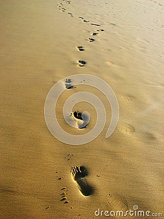 Foot and ball prints