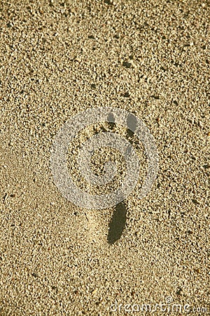 Foot print on the beach sand